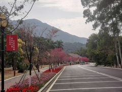 -广州市流溪河国家森林公园