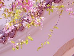 -深圳国际园林花卉博览园