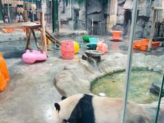 -栾川竹海野生动物园