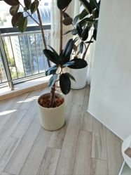 -HEYAN荷妍专业脱毛连锁机构