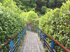 -韶山毛泽东同志故居