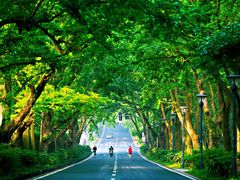 -紫金山山顶公园