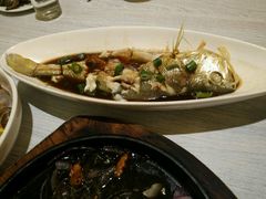 清蒸大黄花-渔家颂歌渔家味道(青石路店)