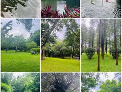 -晓港公园