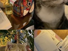 -咖法森林·咖啡  酒吧(天河店)