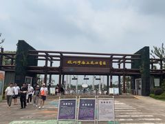 -杭州湾海上花田景区