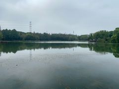 -新洲生态园