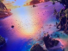 -奥兰多迪士尼动物王国乐园