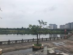 -眉山湿地公园(东坡区)
