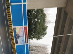 -上海市公安局交通警察总队车辆管理所三分所