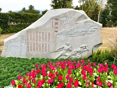 -铁山坪森林公园