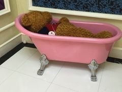 -自由港KTV(王子公主金平店)