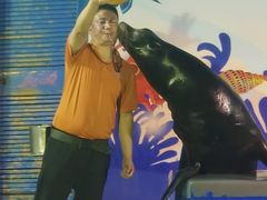 -太平洋海底世界