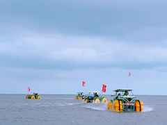 -日照海滨国家森林公园