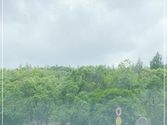-上海佘山世茂艾美酒店
