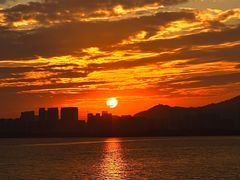 -深圳湾公园(南山区)