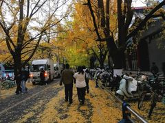 -四川大学(华西校区)