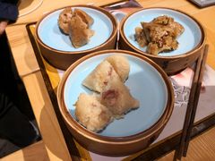 -真真老老(月河花鸟市场店)