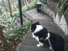 -重庆彩云湖湿地公园