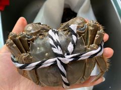 -七的湖·晚芳亭·阳澄湖农家菜·大闸蟹(莲花岛店)