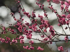 -宝岩生态观光园