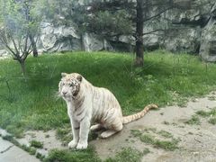 -北京野生动物园