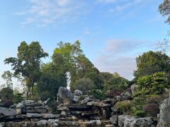 -东莞植物园