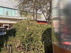 -小宝栗子(嘉华国际商业中心店)