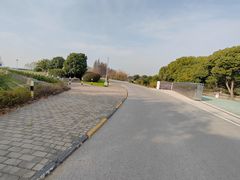 -贡湖湾湿地公园
