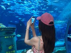 -海合安武汉极地海洋公园