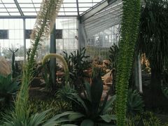 -南通洲际绿博园