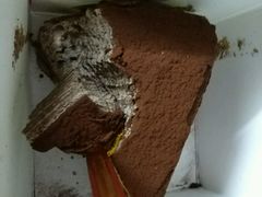 -Awfully Chocolate(来福士广场店)