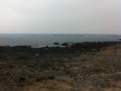 -涉地可支
