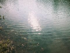 -温江公园