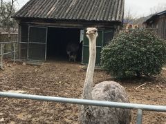 -无锡动物园·太湖欢乐园
