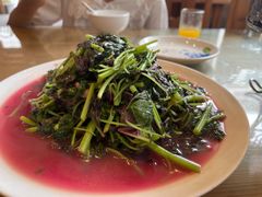 -悠悠美食