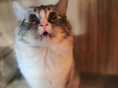 -白兔子密室(长寿路店)