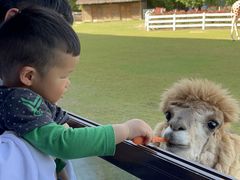 -南京汤山紫清湖生态旅游温泉度假区