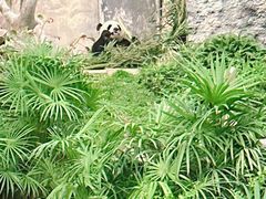 -石排湾郊野公园