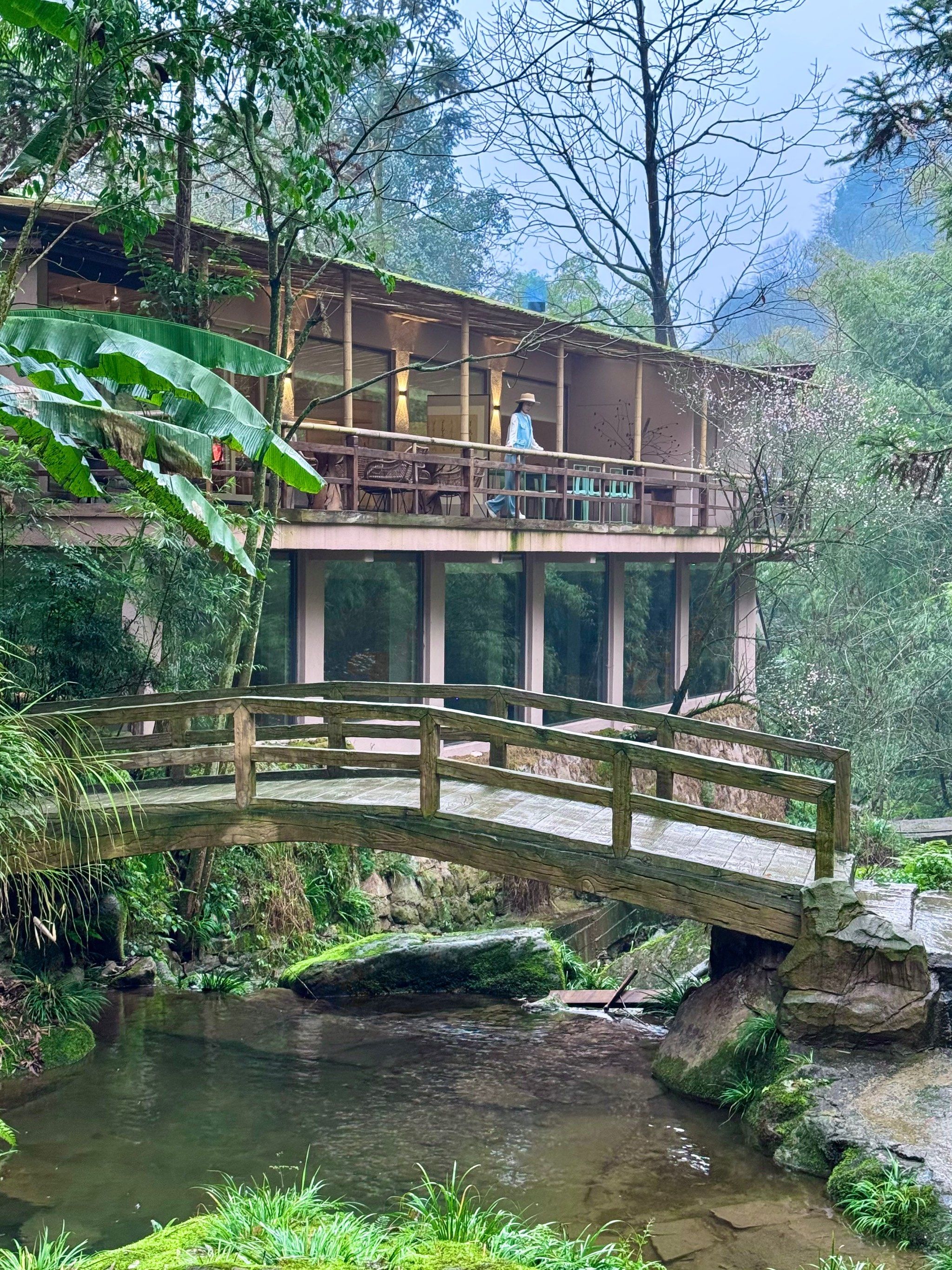 青城山!在离神仙最近的地方住了一晚!