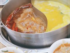 -青瓷火锅料理(西单大悦城店)
