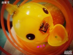 -做了不起的80后