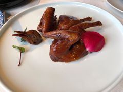 乳鸽-三号黄浦会Canton Table