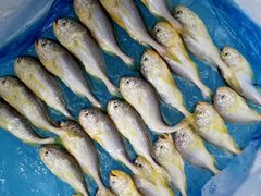 -沙田台山海鲜·酣客酒窖