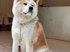 -YCHL Studios健身工作室(市二宫店)
