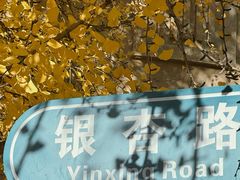 -辽宁大学(崇山校区)