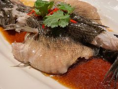 -夜上海(新天地店)