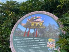 -海南铜鼓岭景区