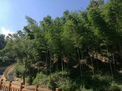 -梅岭月亮湾山体公园