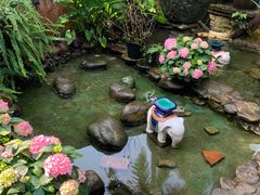 -园林美食城·本土农家菜(杨和镇店)